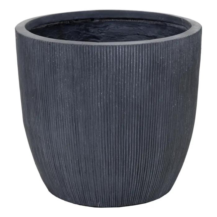 biezen-3709830