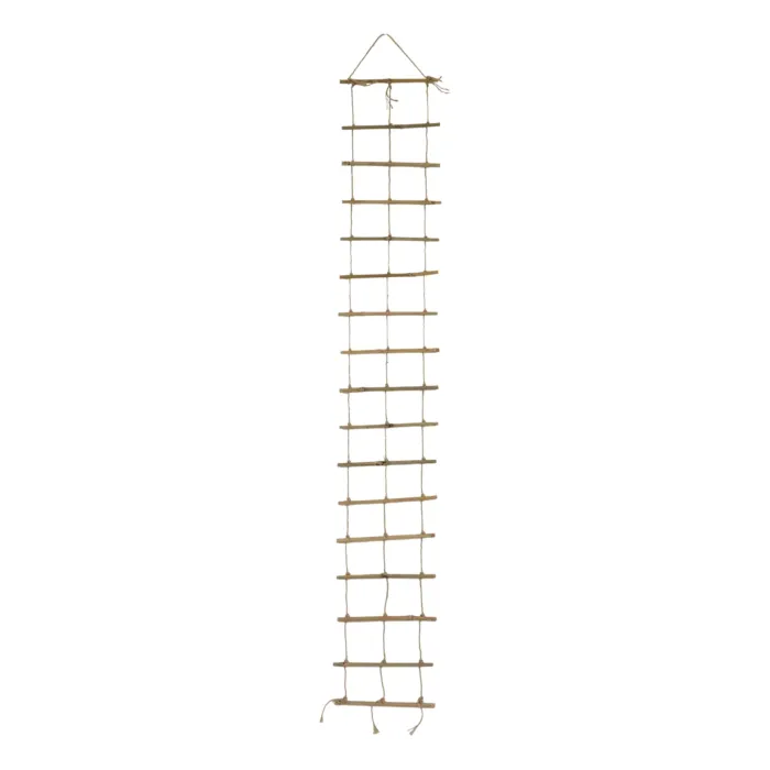 biezen-3710569