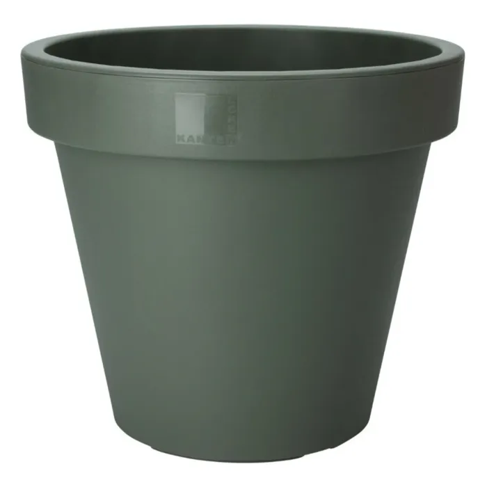 biezen-3711491