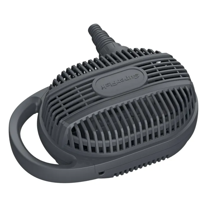 biezen-3712983