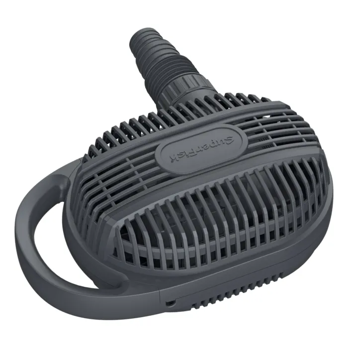 biezen-3712991
