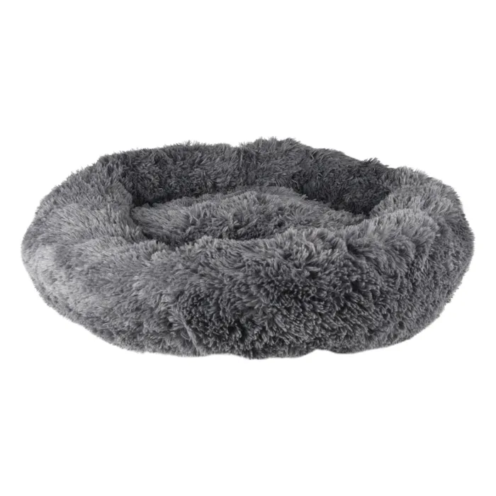 biezen-3713503