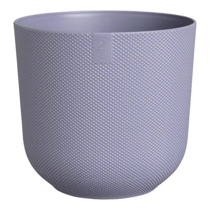 biezen-3716323