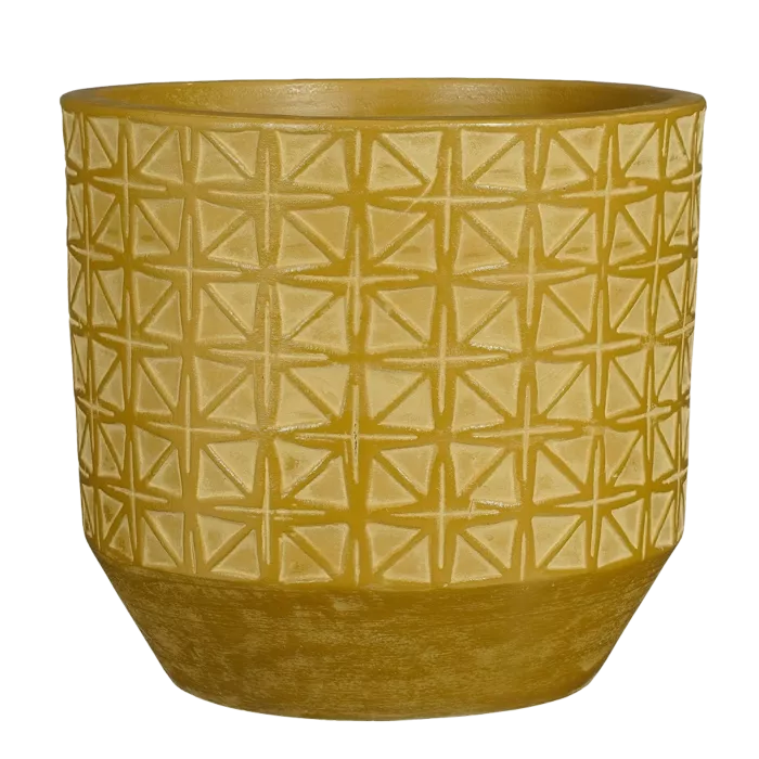 biezen-3725397