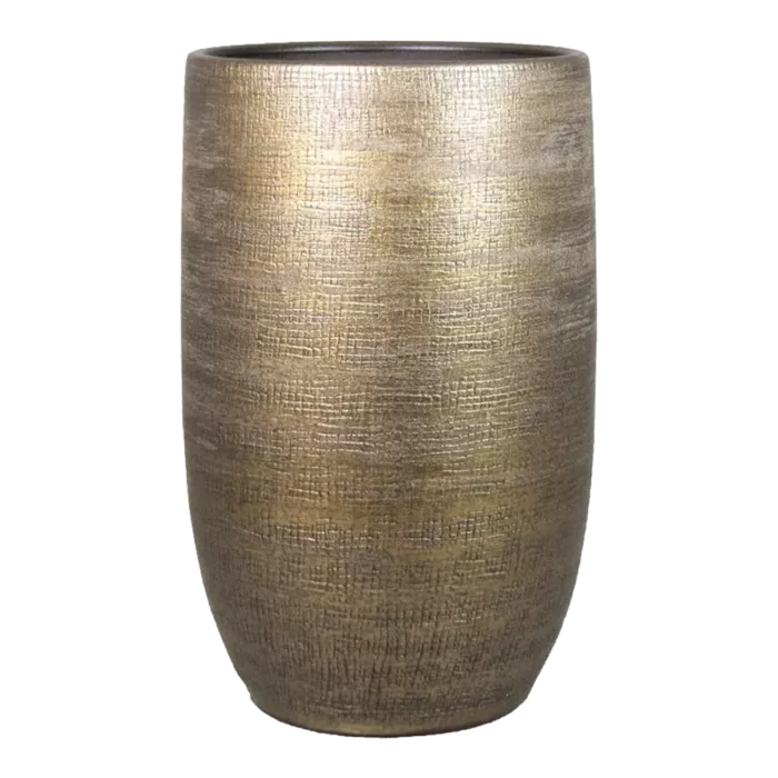 biezen-3725903