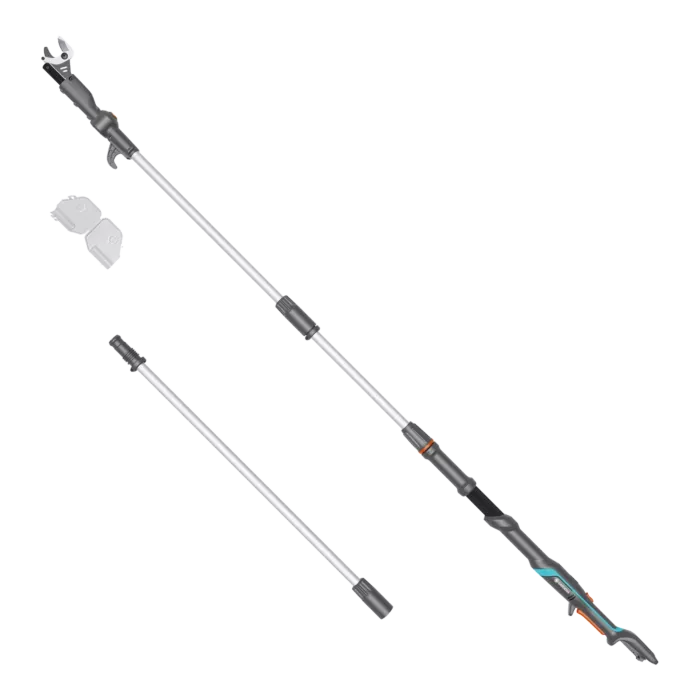 biezen-3727064