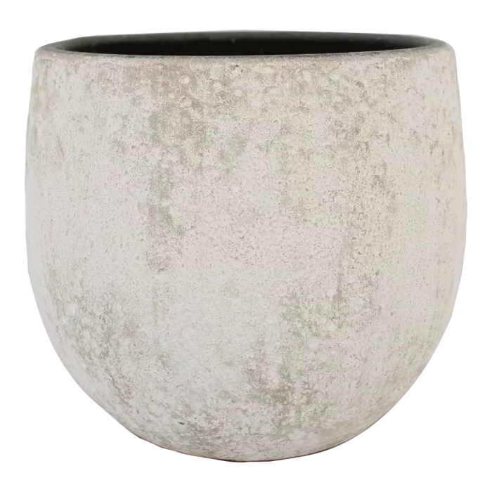 biezen-3728301