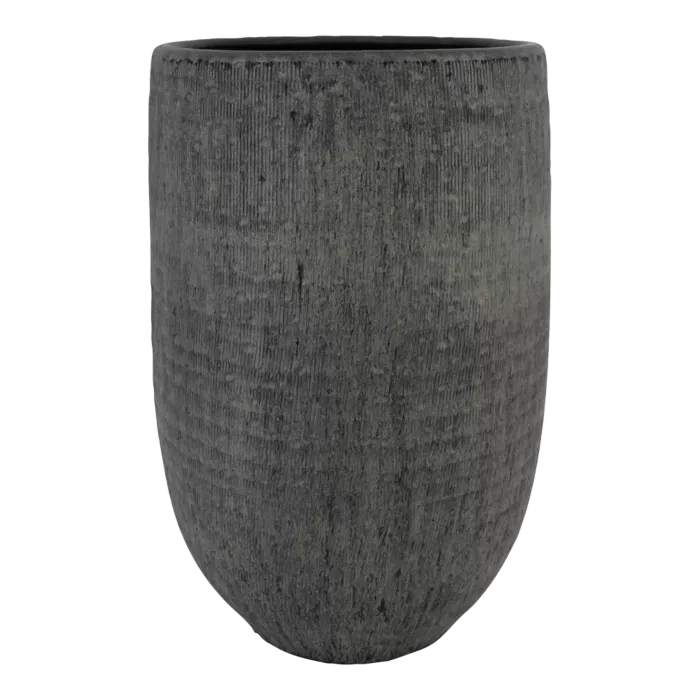 biezen-3728400