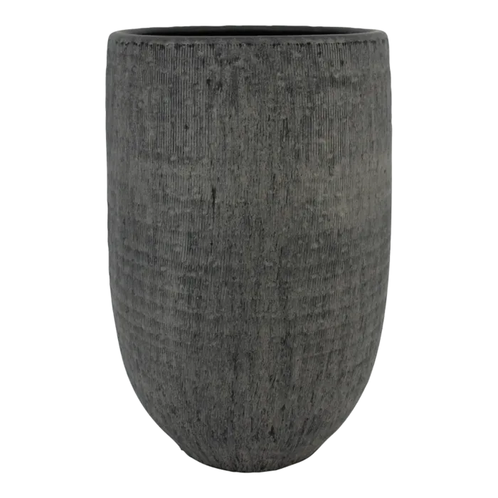 biezen-3728402