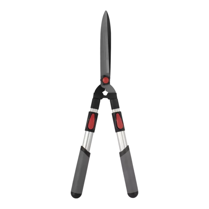 biezen-3728592