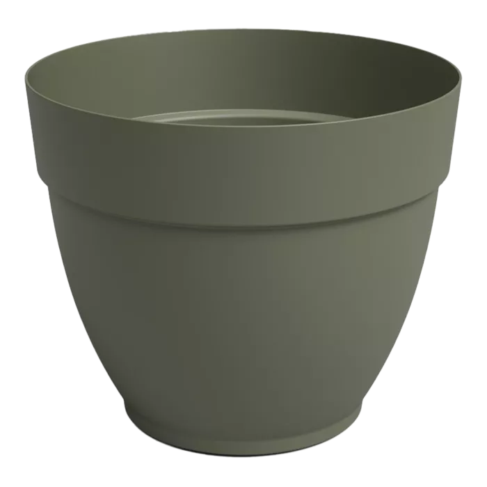 biezen-3728813