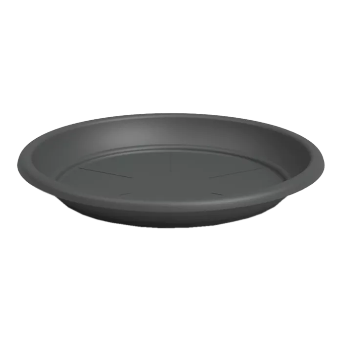 biezen-3729730
