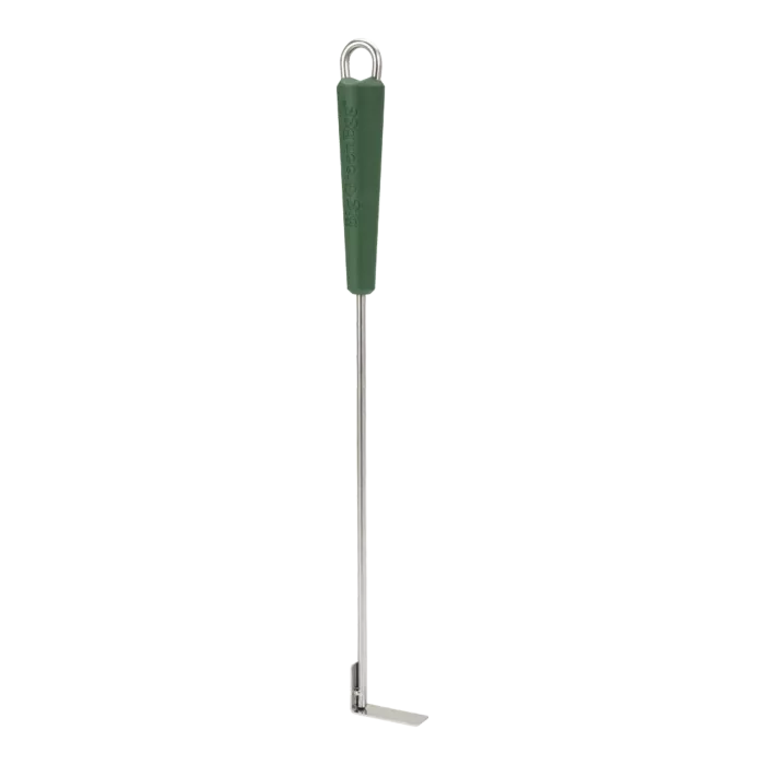 biezen-3730409