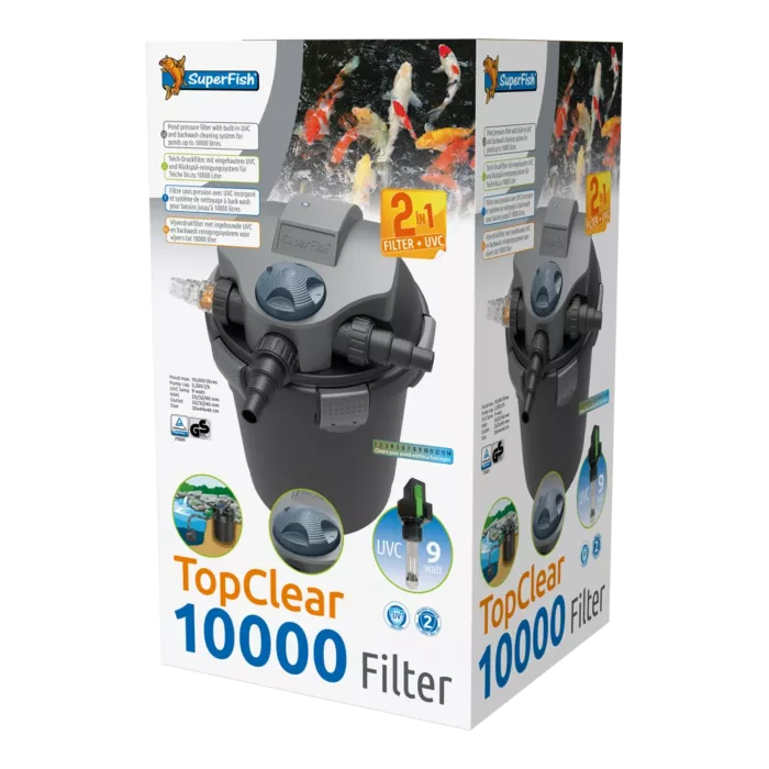 biezen-3732955