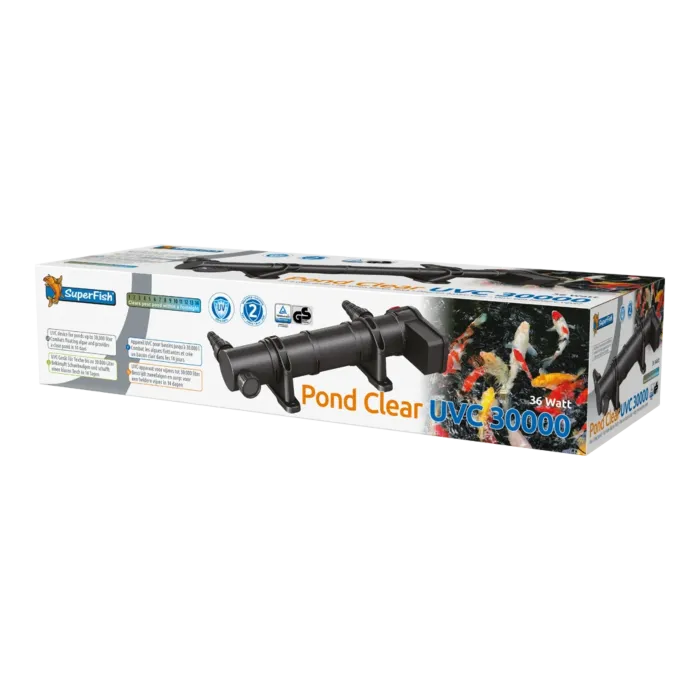 biezen-3733211