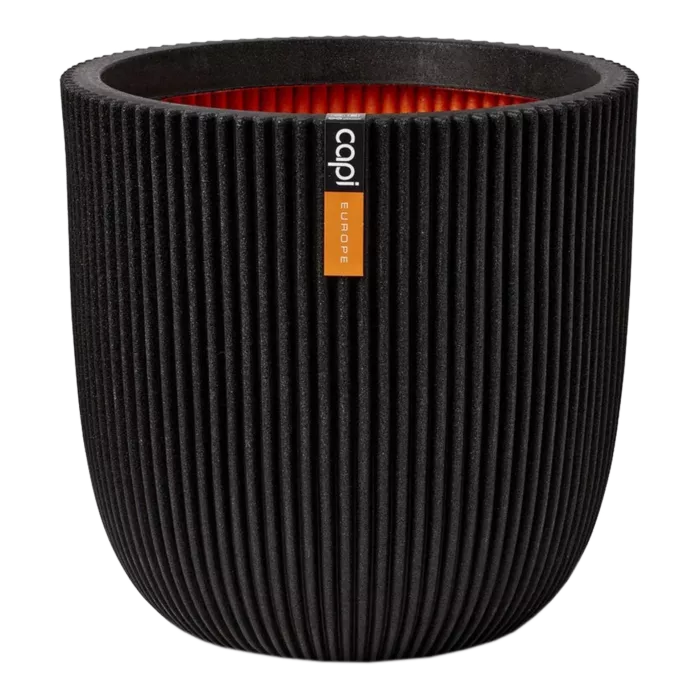 biezen-3733685