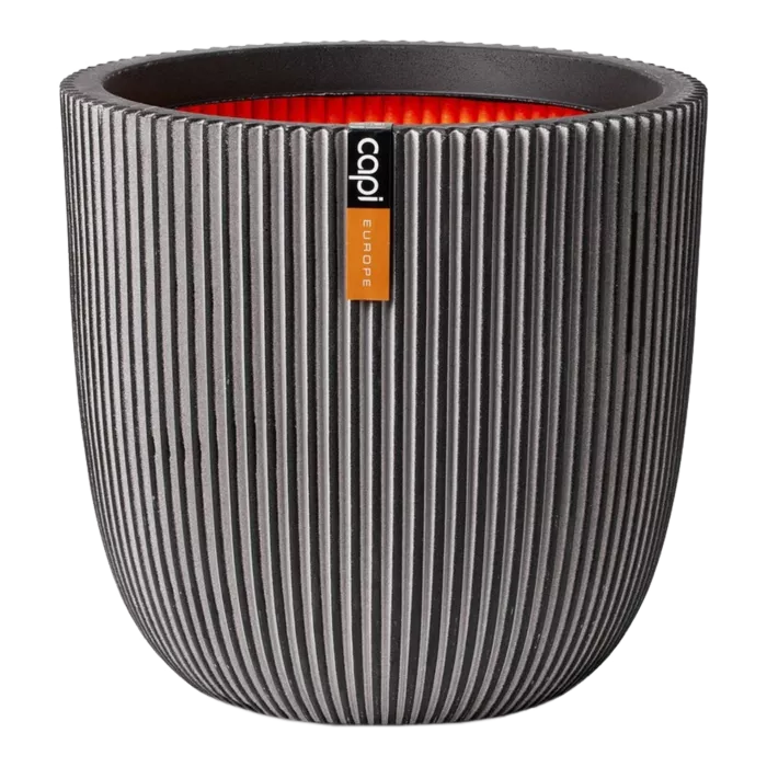 biezen-3733702