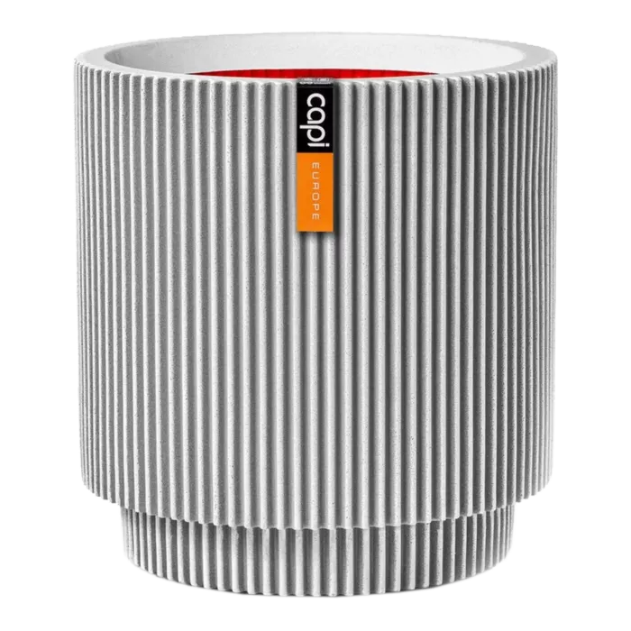 biezen-3733736