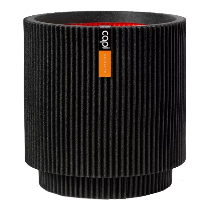 biezen-3733806