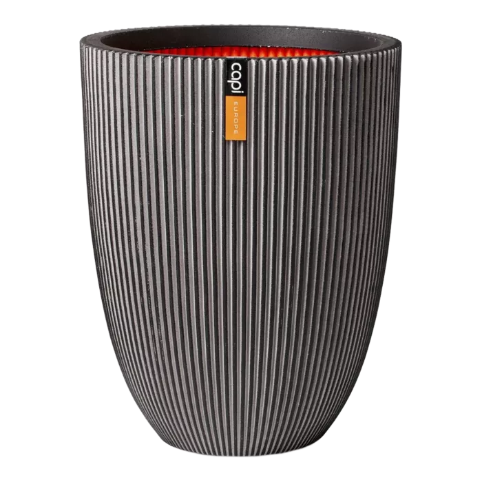 biezen-3733976