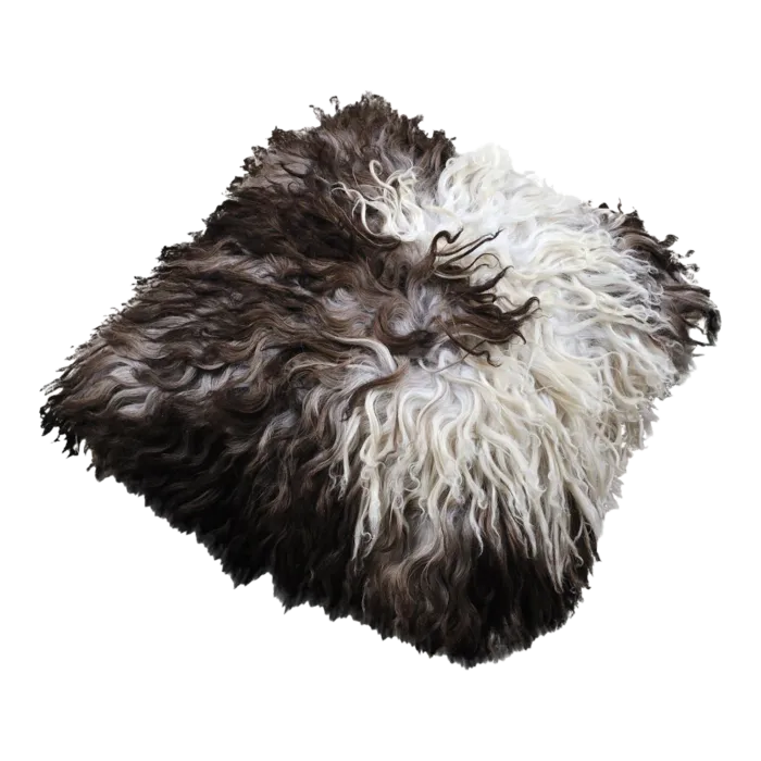 biezen-3737855