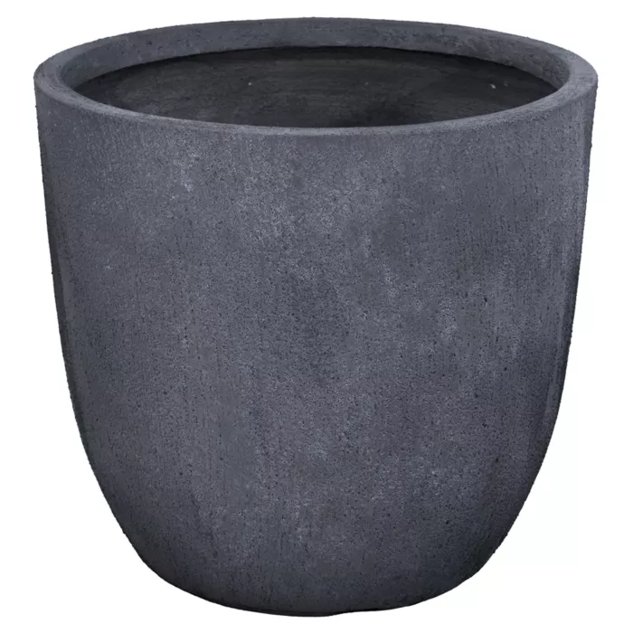 biezen-3744915
