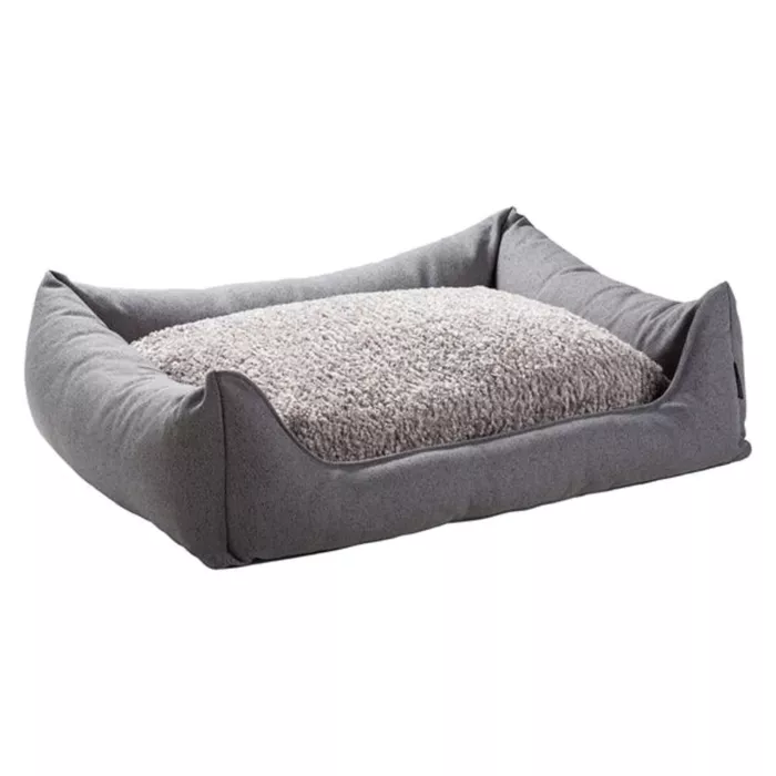 biezen-3746274