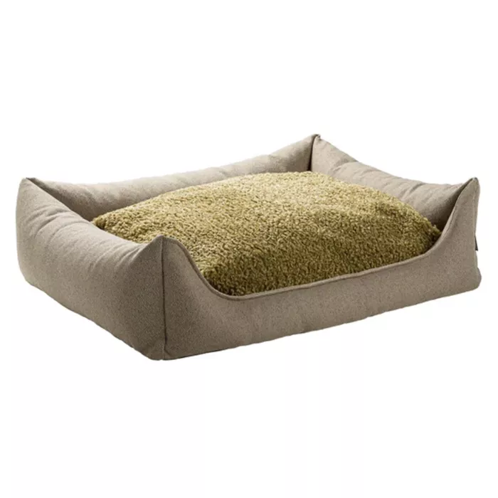 biezen-3746340