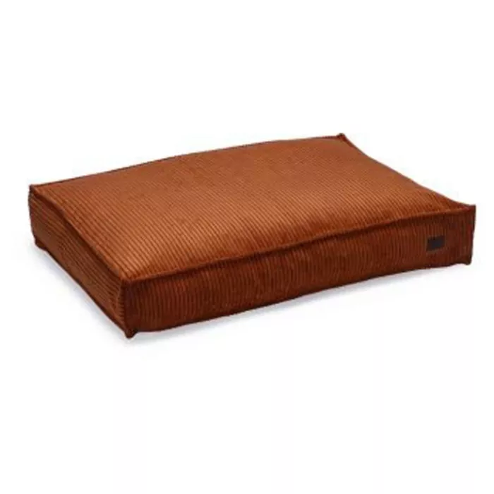 biezen-3746534