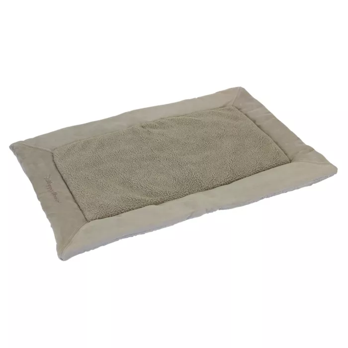 biezen-3746634
