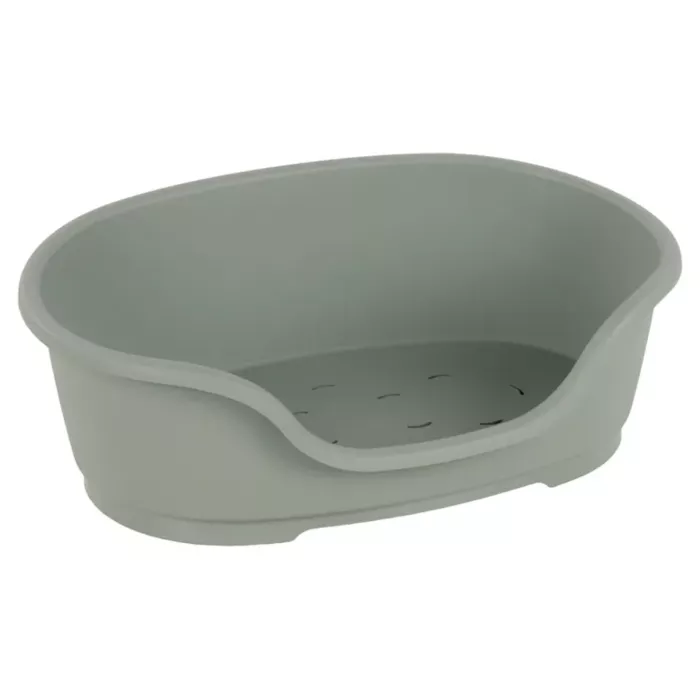 biezen-3746824
