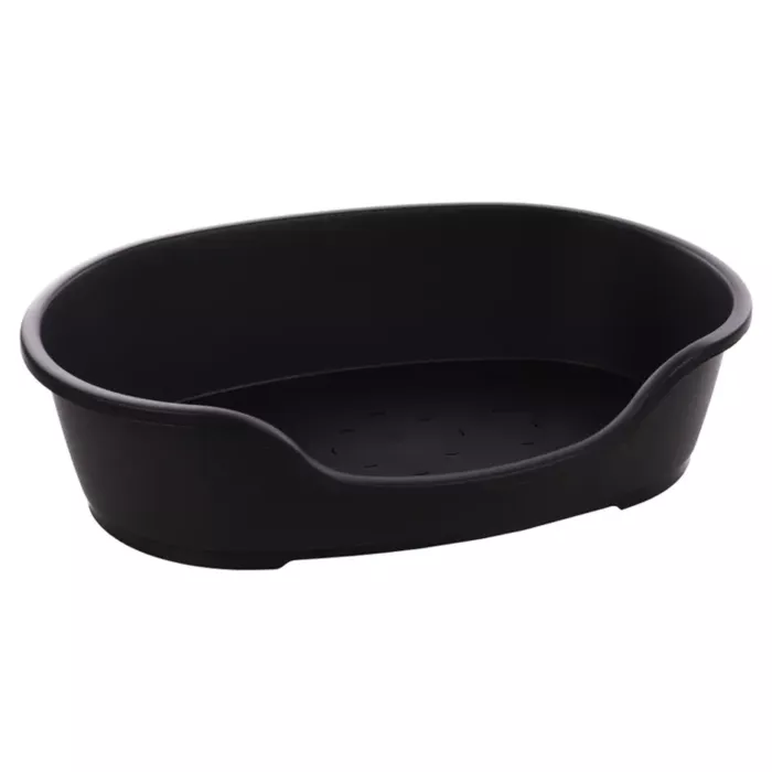 biezen-3746861