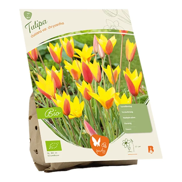 biezen-3751744