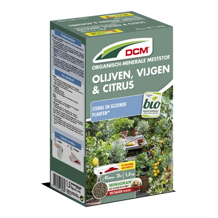 biezen-3769130