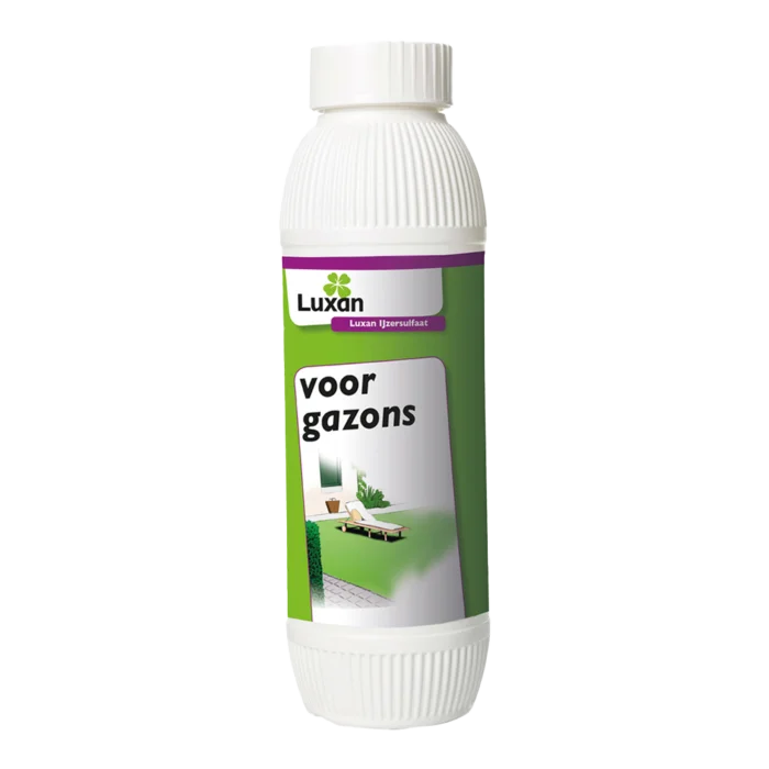biezen-3769348