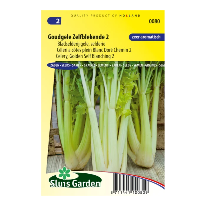 biezen-3769774
