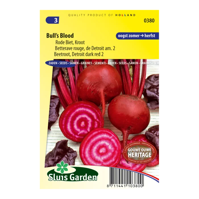 biezen-3770112