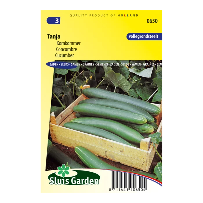 biezen-3770448