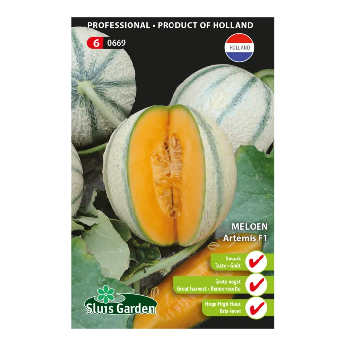 biezen-3770449
