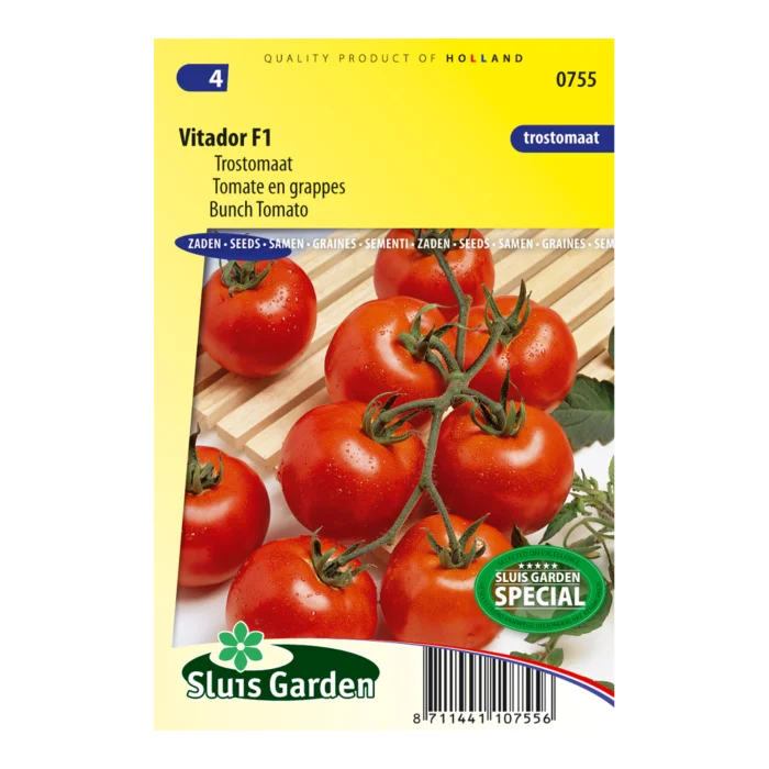 biezen-3770566