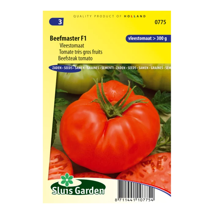 biezen-3770579