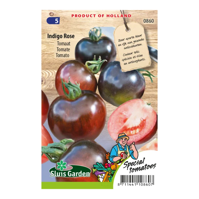 biezen-3770641