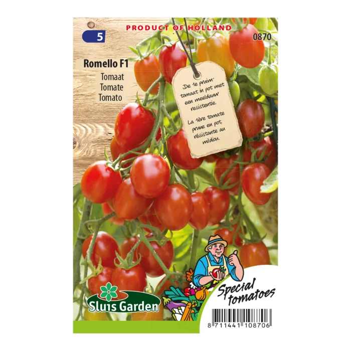 biezen-3770668