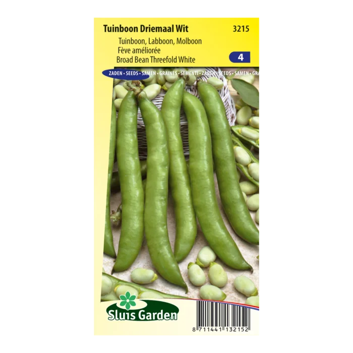 biezen-3771066