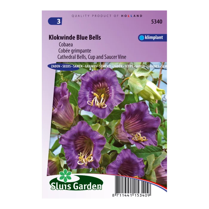 biezen-3771466