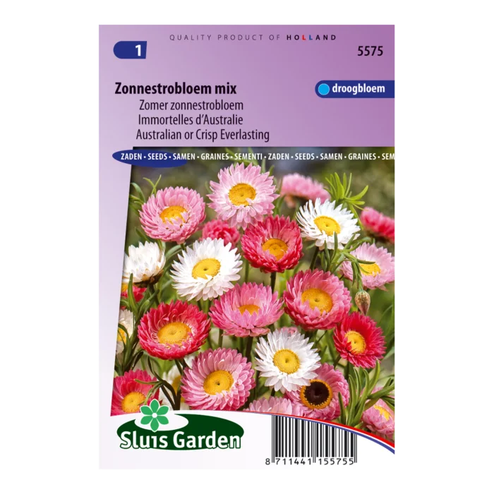 biezen-3771631