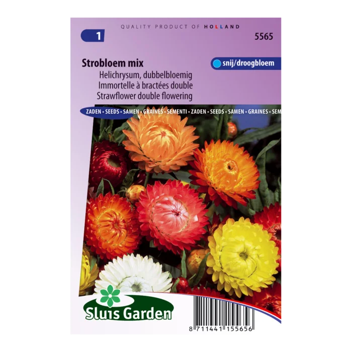 biezen-3771634