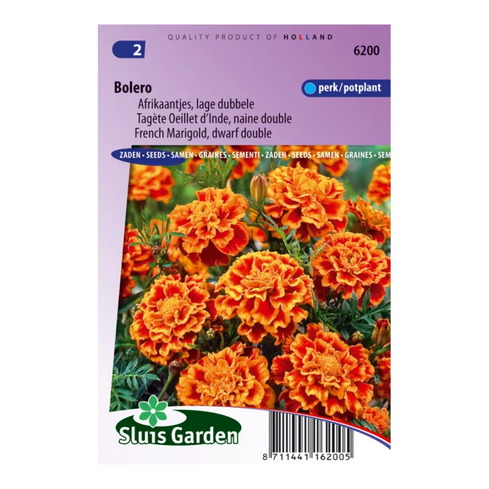 biezen-3772028