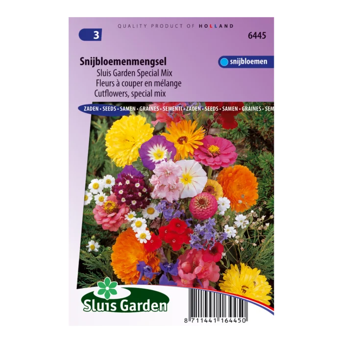 biezen-3772239