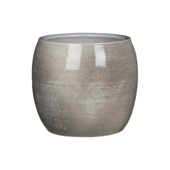 biezen-3774169
